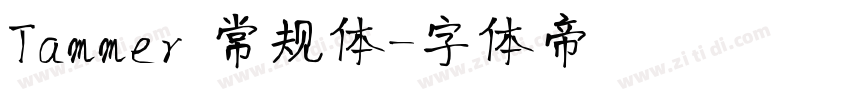 Tammer 常规体字体转换